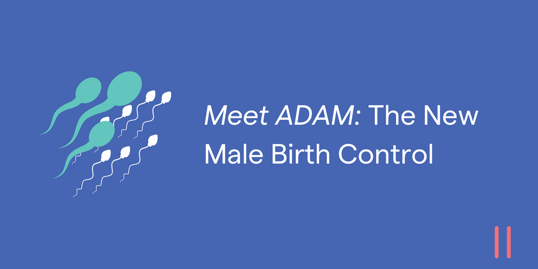 Meet Adam: The New Male Birth Control