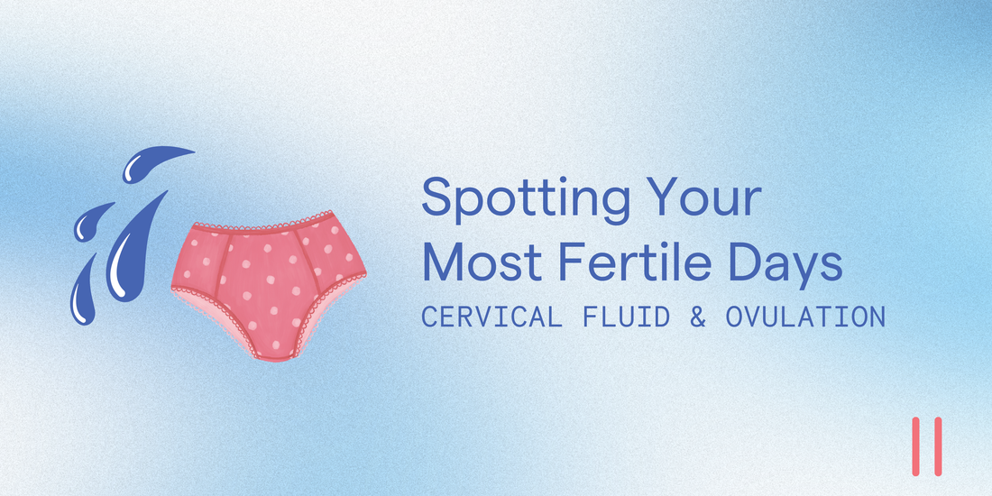 Cervical Mucus and Ovulation: How to Spot Your Most Fertile Days