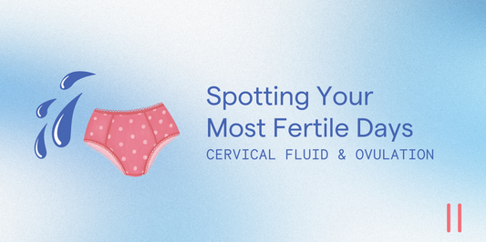 Cervical Mucus and Ovulation: How to Spot Your Most Fertile Days