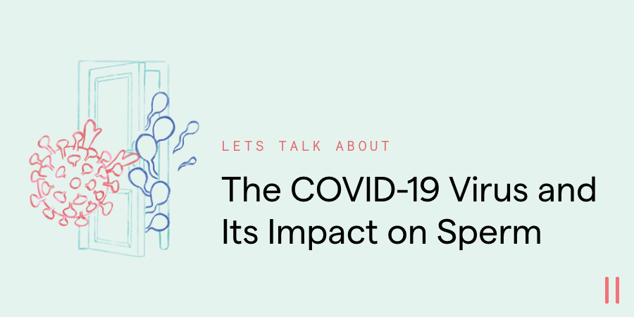 The COVID-19 Virus and Its Impact on Sperm