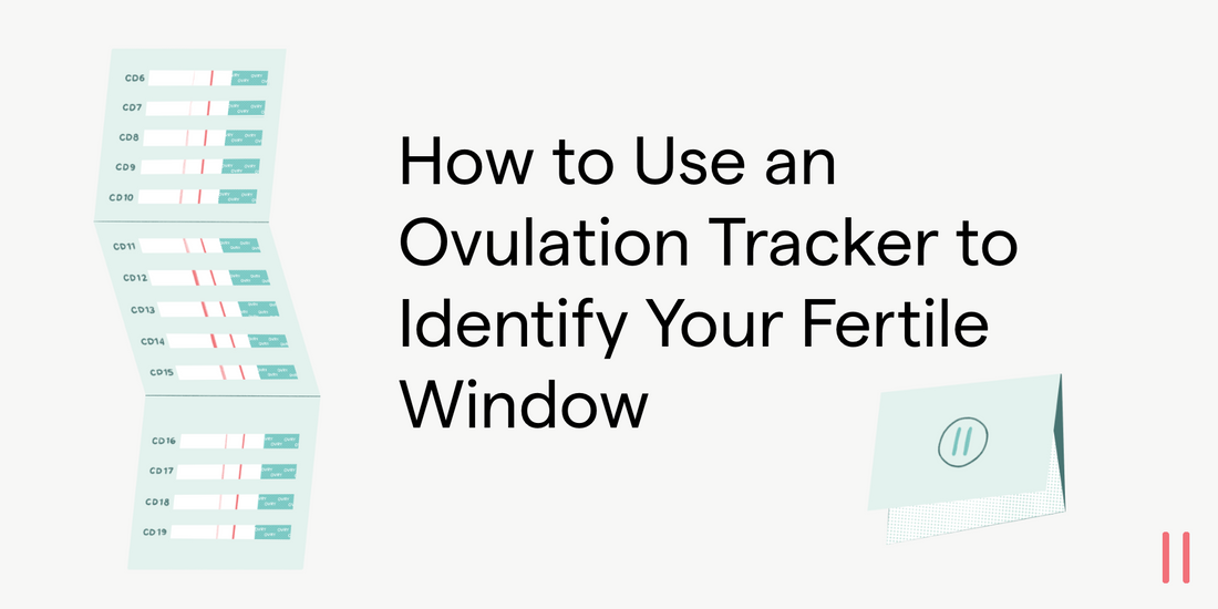 How to use an Ovulation Tracker to identify your fertile window